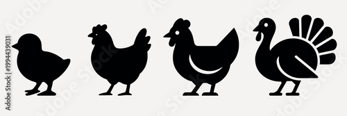 Silhouette farm bird icons collection vector