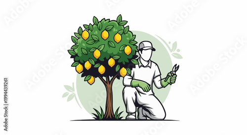 Gardener tending to a bountiful lemon tree, ready for harvest