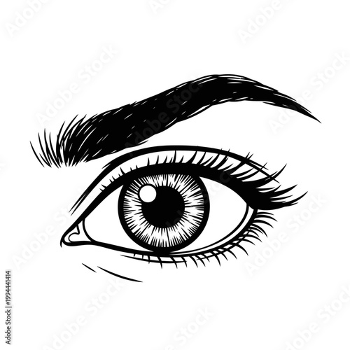 Detailed artistic eye illustration on white background vector design