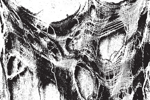 Distressed Torn Fabric Mesh Grunge Black and White Texture