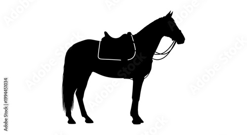 Silhouette of a majestic horse with saddle and bridle standing proudly.