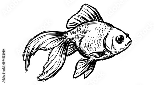 Hand drawn sketch of a cute little swimming goldfish
