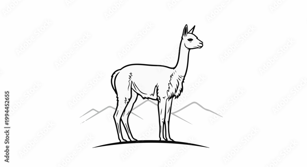 Fototapeta premium A black and white sketch of a vicuña standing on a hill