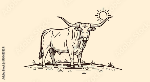 Majestic Texas Longhorn Bull Line Art Illustration