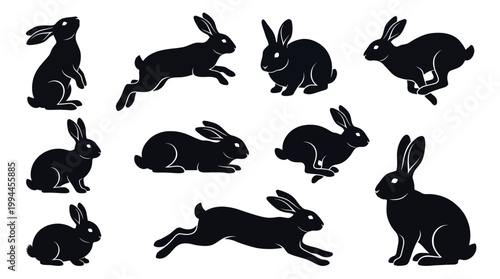 bunny silhouette sets