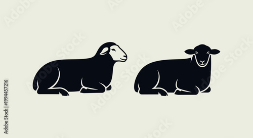 Two black sheep sitting side by side.