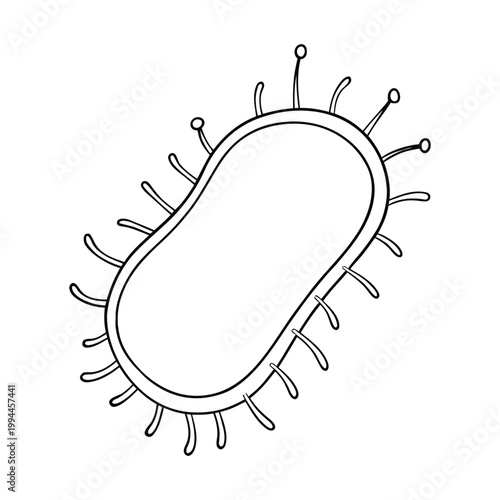 Bacterial cell structure includes a cell wall, plasma membrane, cytoplasm, ribosomes, and DNA in the nucleoid region, all working together to support life and reproduction.
