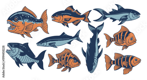 Illustrated fish collection in various styles with orange and blue tones