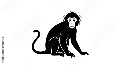Sitting monkey silhouette vector illustration