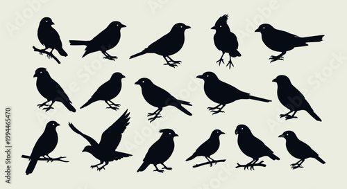 Group of Black Birds Silhouettes.