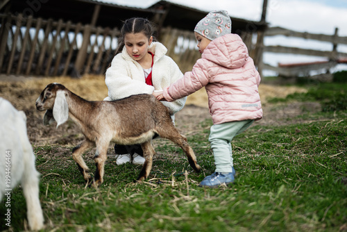Two children petting a young goat on a grassy farm yard in warm jackets enjoying gentle outdoor animal play