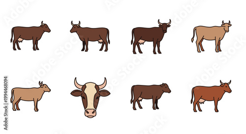 Cartoon cows vector illustrations of farm animals for various design projects