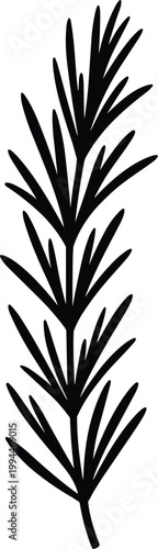 Minimalist Black Outline Rosemary Sprig Isolated on White Background - Single Herb Branch Vector Illustration, Fresh Ingredient for Cooking, Culinary Design Element, Botanical Art for Wellness and Hea