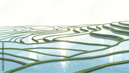 Minimalist Flat Illustration of Sunlit Water-Filled Terraced Rice Paddies on a Rolling Hillside, With Soft Glow of Sun Reflection on Water