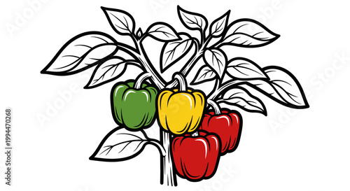 Colorful bell peppers growing on a plant against a clean white background