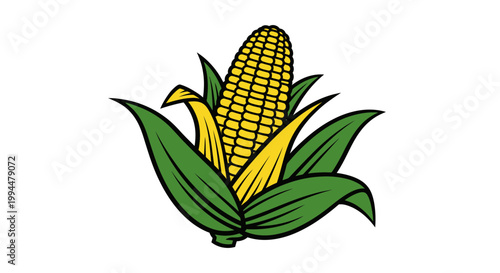 Fresh Corn Cob with Green Leaves Isolated on White Background