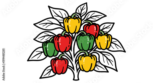 Colorful bell peppers growing on a plant with green leaves illustration