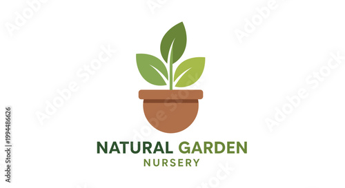 Small Potted Plant with Green Leaves.