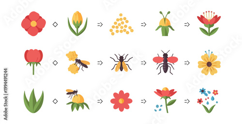 Flower development and insect interactions on black background