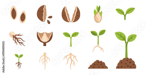 Seed germination and plant growth stages illustration on black background