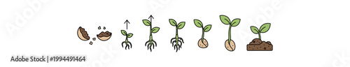 Plant growth stages vector illustration isolated on black background