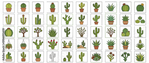 A diverse collection of various cacti and succulents.