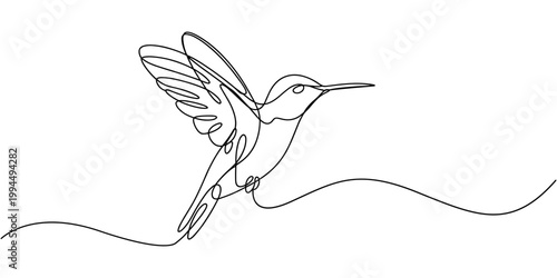 Hummingbird continuous one line drawing. One line drawing illustration of colibri. Flying animal concept Single line, Hummingbird one line art design