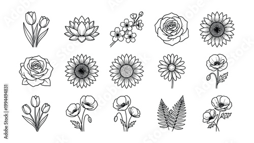 Assortment of sketched floral icons for decoration and design with hand drawn flower icon botanical icon plant icon nature icon rose icon tulip icon daisy icon sunflower icon poppy icon