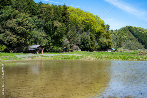 春、里山の水田