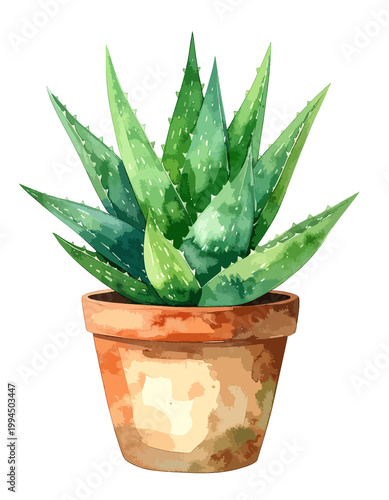 Aloes w doniczce ilustracja