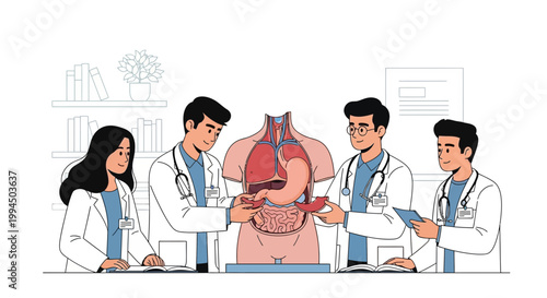 Medical Students Studying Anatomy Model of Human Torso with Organs