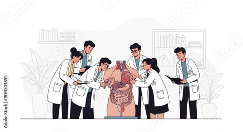 Medical Students Studying Anatomy Model of Human Digestive System in Classroom