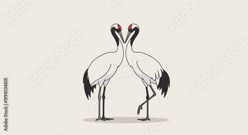 Two white cranes standing together facing.