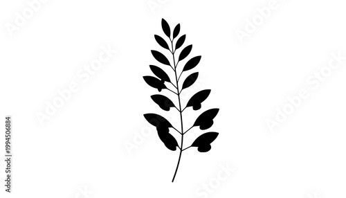 wheat ears isolated on white background