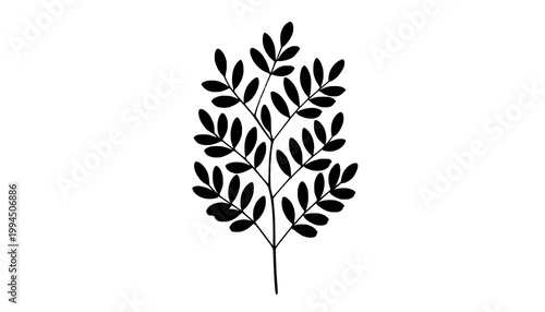 silhouette of a tree