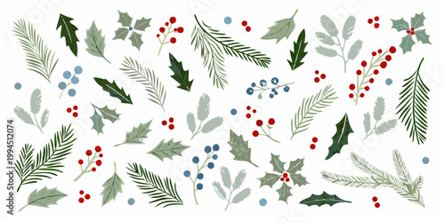 A collection of festive botanical illustrations including holly berries and pine