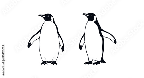 Two penguins standing side by side.