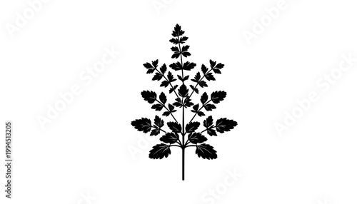 black and white flowers