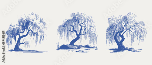 Graceful willow trees botanical landscape vintage sketch illustration set. Illustrations for wallpaper and textile, hand drawn pencil style with flowing line texture and soft layered shading.