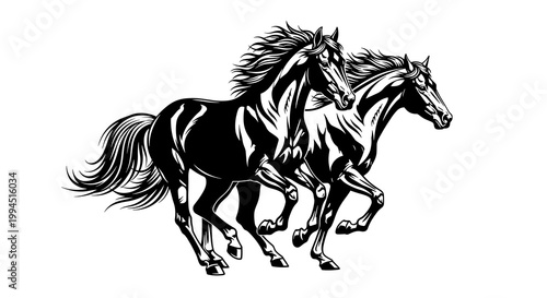 Two Wild Galloping Horses Silhouette Professional Black Vector Illustration for Equestrian Sports and Ranch Branding