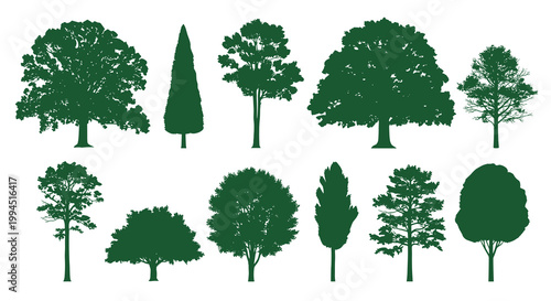 Diverse Forest Tree Silhouette Collection Professional Green Vector Illustration for Nature and Environmental Branding