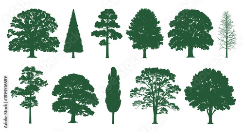 Diverse Forest Tree Silhouette Collection Professional Green Vector Illustration for Nature and Environmental Branding