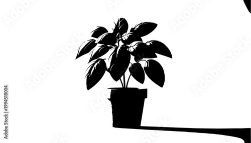 vector illustration of a plant