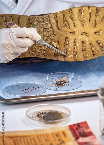 Specializing police officer analyzes ground in a victim's shoe murder with one tweezers, conceptual image