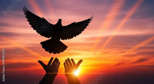 silhouette of dove flying over hands at sunset