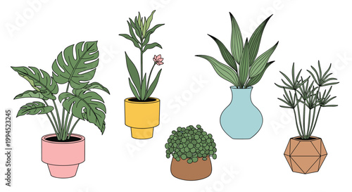 Selection of common indoor houseplants like monstera and snake plant are shown in a variety of modern and colorful ceramic flower pots.