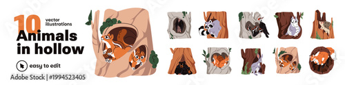 Animals in hollow set. Cute forest characters inside tree holes and burrows. Nests, bark, caves and houses in trunk and stumps for wildlife. Flat isolated vector illustrations on white background