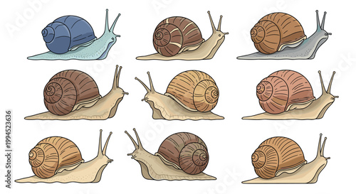 Group of garden snails with different shell colors and patterns are shown crawling in various directions on a plain white background.
