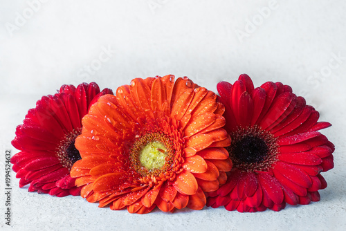 A beautiful card with bright orange-red flowers.