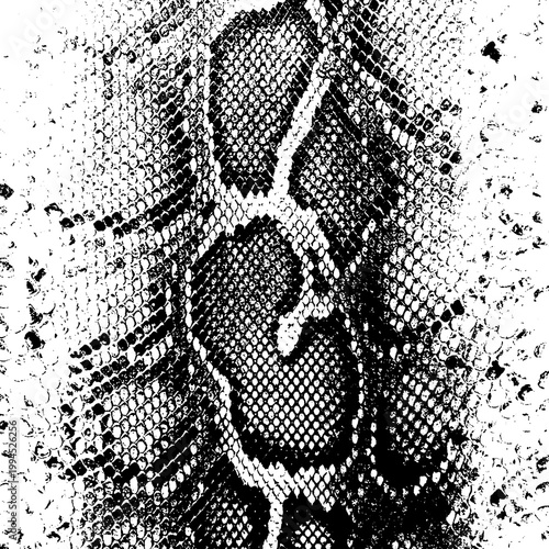 Quadro su tela Black and white snake skin texture pattern background texture design isolated on